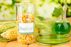 Bristol biofuel availability